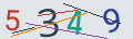 verifycode